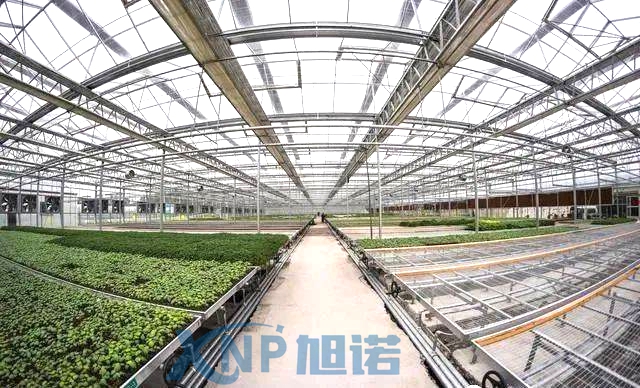 蔬菜温室大棚可以使用桃子视频官网更新在线观看做骨架吗.jpg